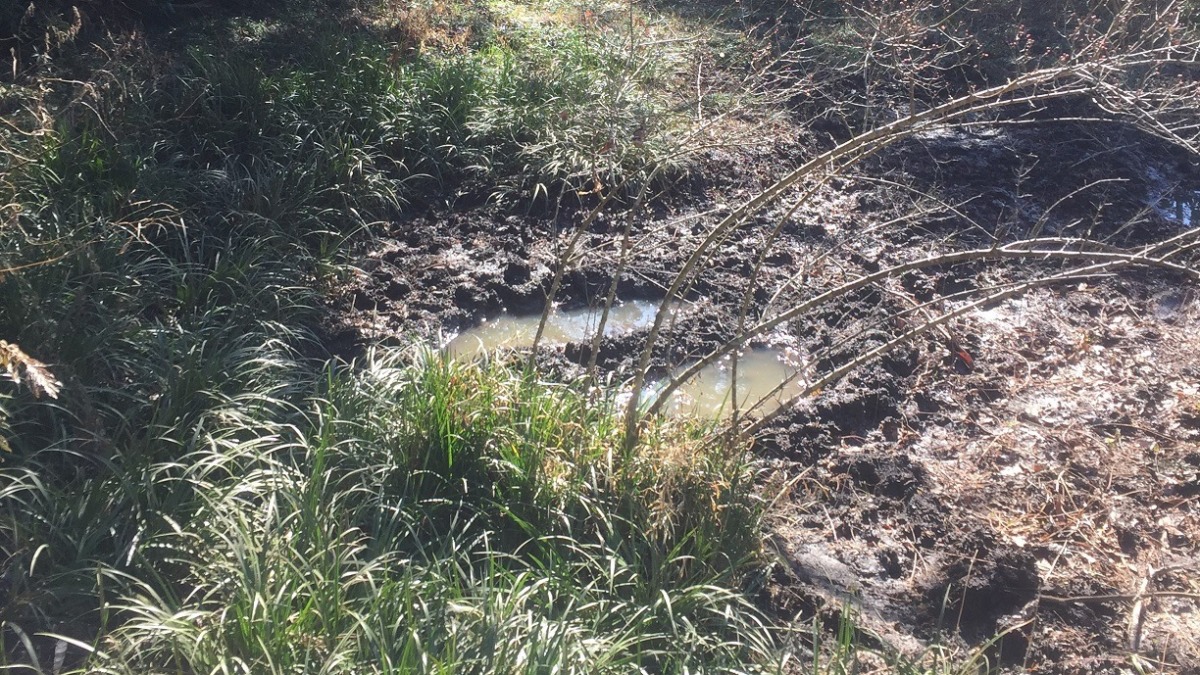 足柄罠猟事始め