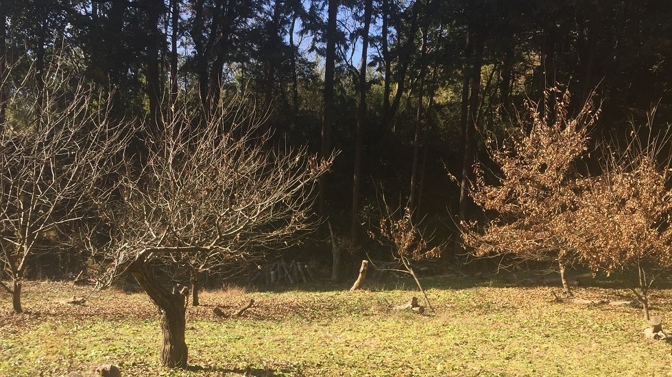 【クイズ】罠猟、沼田場