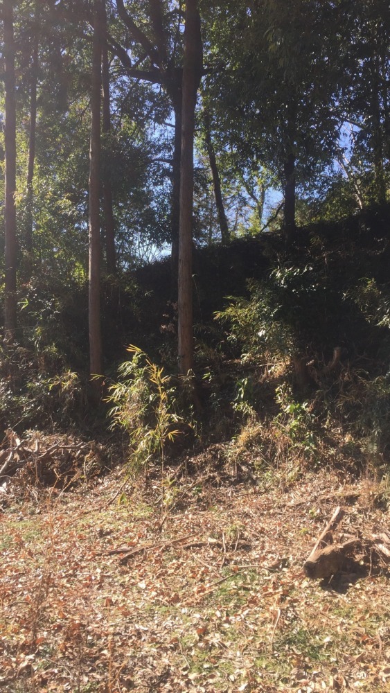 【実施済み：1/25】くくり罠をかけよう＠足柄こうさいじ