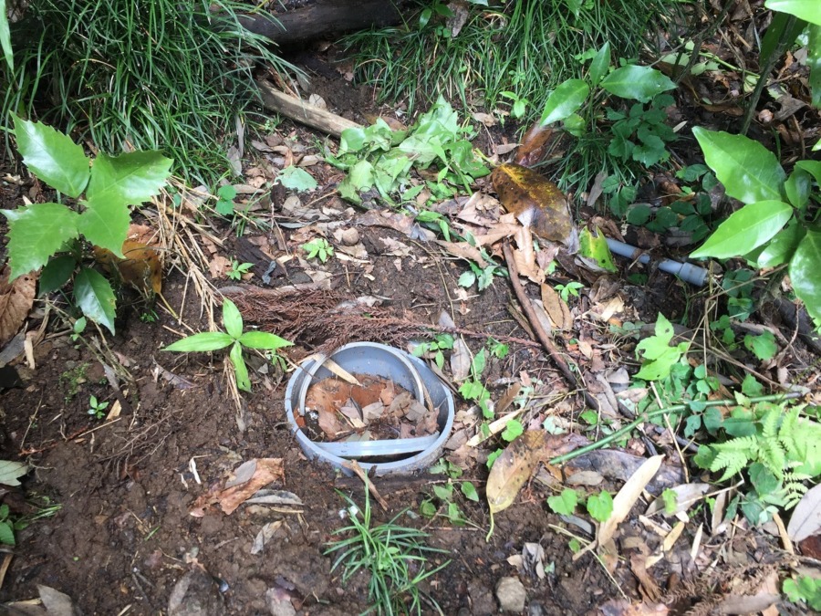 【悲報！！】わな、外されてました。ま、来てることを確認できたということで。