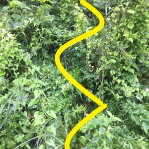 【猪さんの獣道講座】斜面。